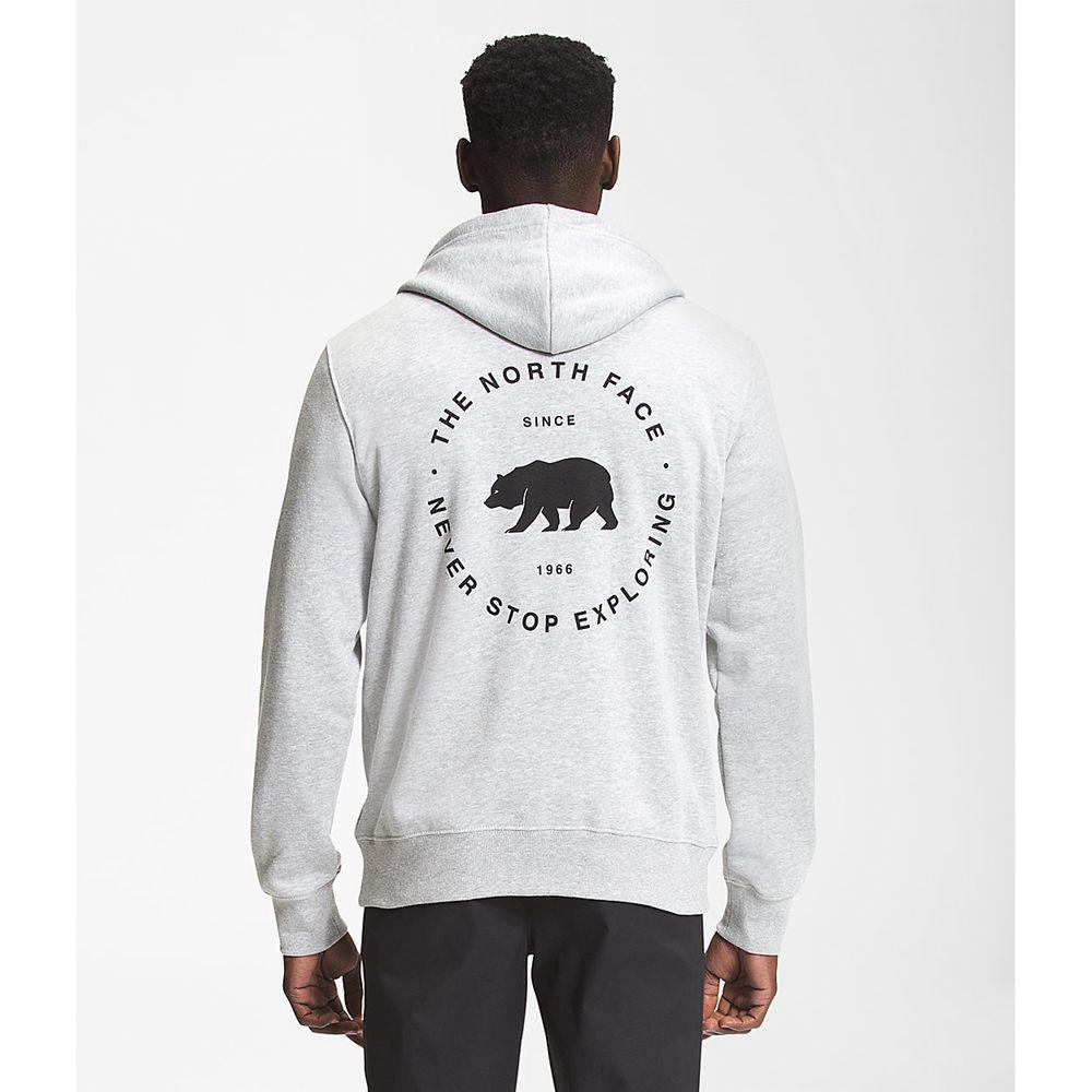 The North Face Bear Nse Pullover Ανδρικα Φούτερ Hoodie - Ανοιχτο Γκρι (OZLY14067)